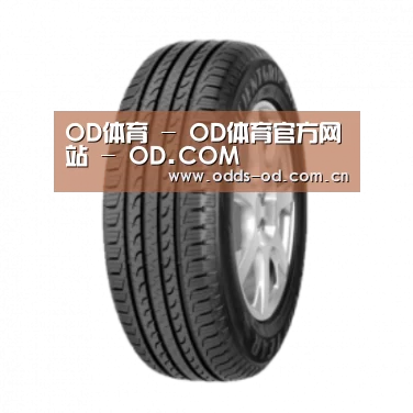 od体育官方入口产品名称五